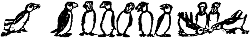 A Puffin Ghetto