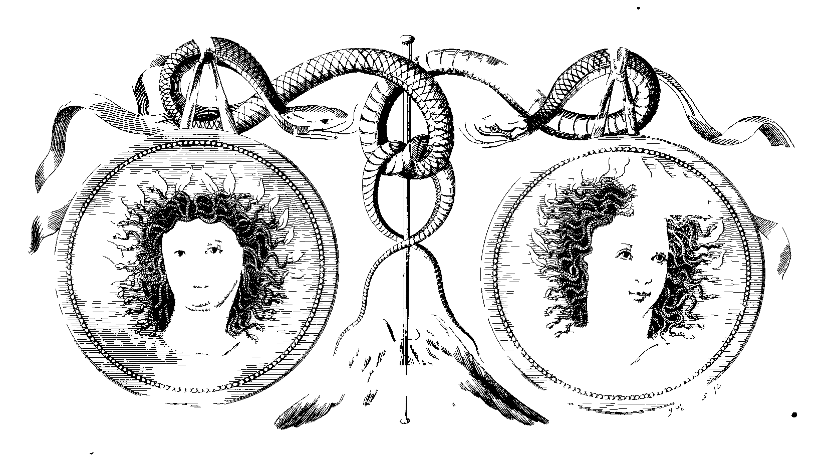 Plate X