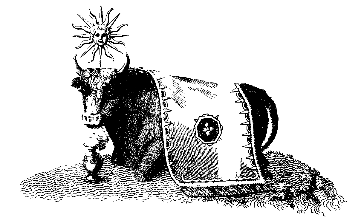 Plate XI