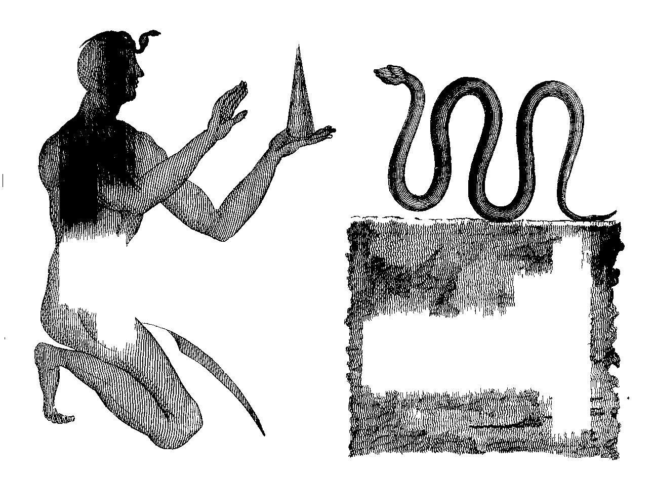 Plate VII
