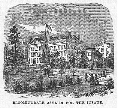 BLOOMINGDALE ASYLUM FOR THE INSANE.