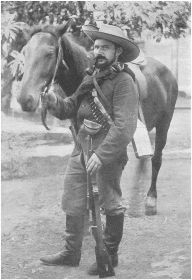 ADOLPH KRAUSE.