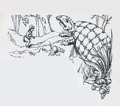 Illustration