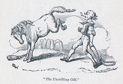 “The Unwilling Colt.”