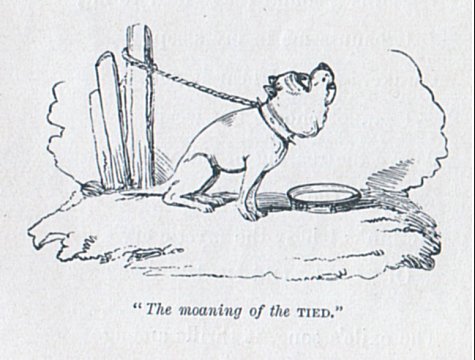 “The moaning of the TIED.”
