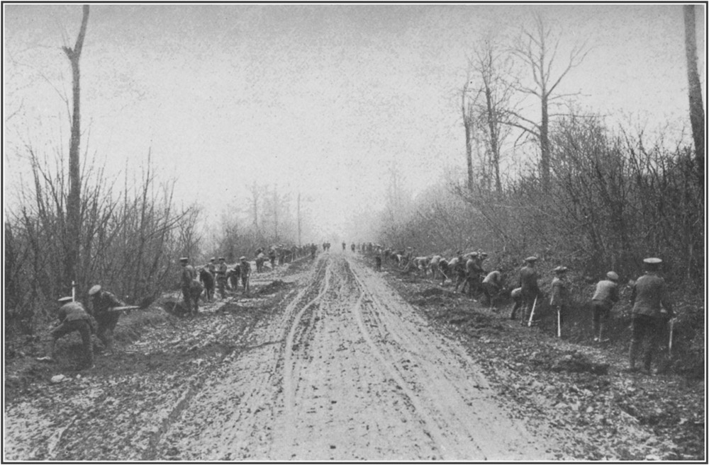 The Road up the Ancre Valley through Aveluy Wood