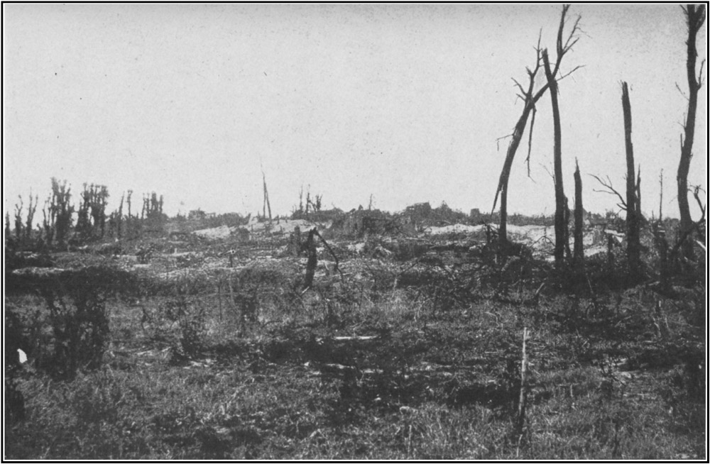 A View of Fricourt