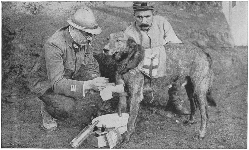 Fig. 21