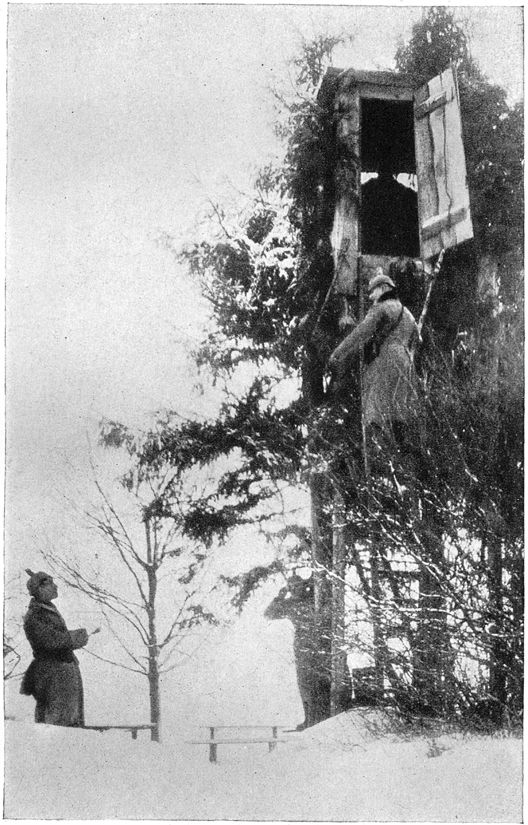 Fig. 31