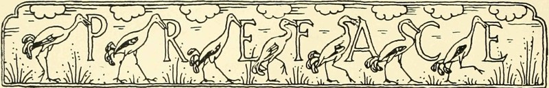 Preface decoration