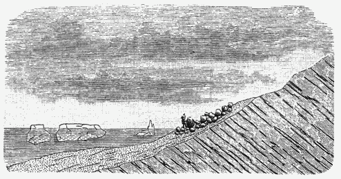 SECTION FROM THE SOUTH COAST OF MATOTSCHKIN SOUND.