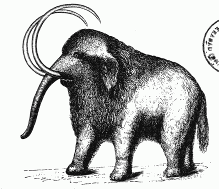 RESTORED FORM OF THE MAMMOTH.
