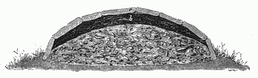 SECTION OF A CHURCH GRAVE.