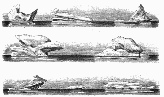 PIECES OF ICE FROM THE COAST OF THE CHUKCH PENINSULA.