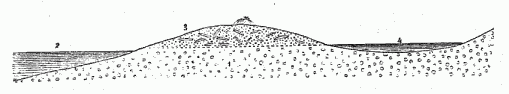 SECTION OF THE BEACH STRATA AT PITLEKAJ.