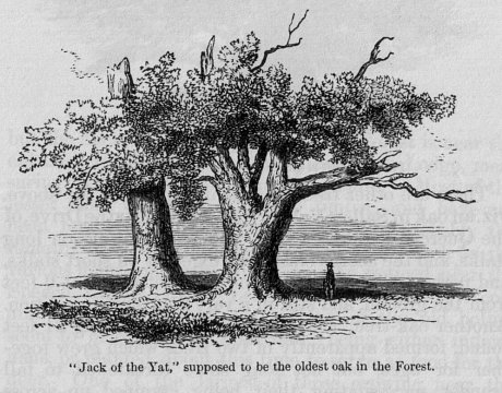 “Jack of the Yat”