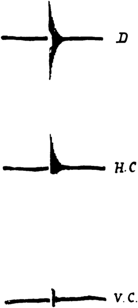 Magnetograph records of Andalusian earthquake at Lisbon.