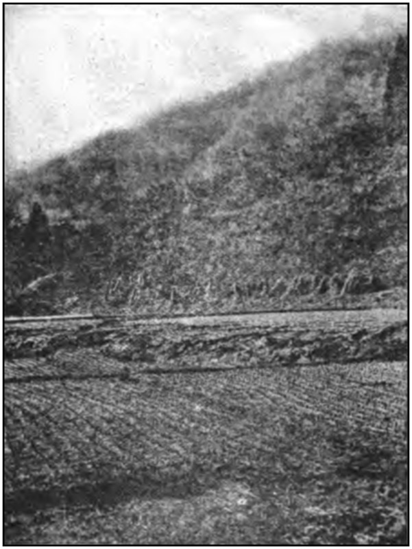 Ploughshare Appearance of the Fault near Fujitani.