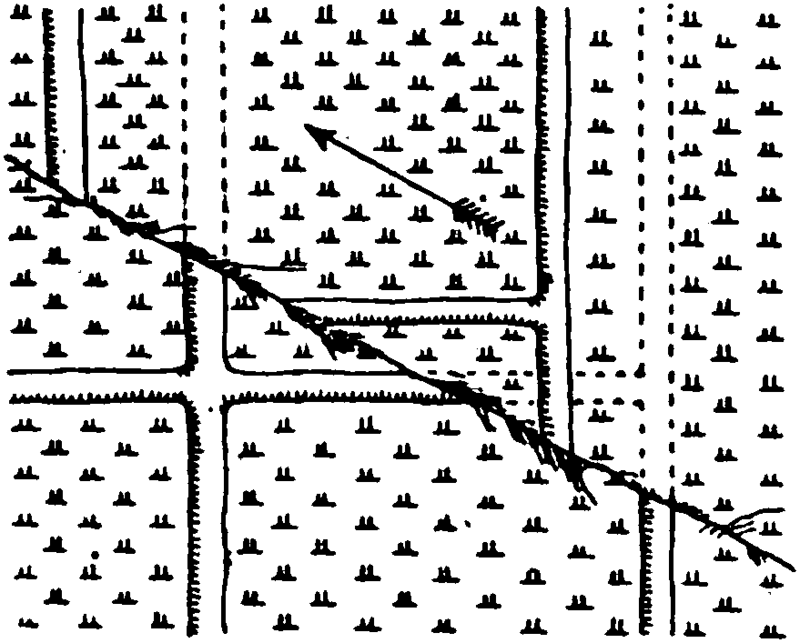 Displacement of Field Divisions by the Fault near Nishi-Katabira.