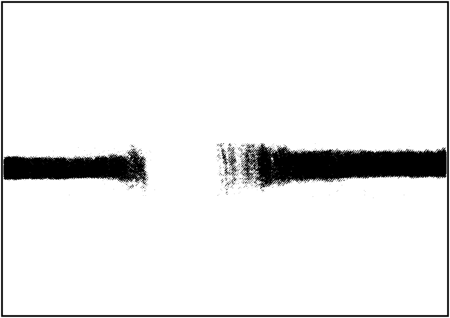Seismographic Record of Indian Earthquake at Edinburgh.