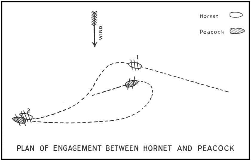 PLAN OF ENGAGEMENT BETWEEN HORNET AND PEACOCK