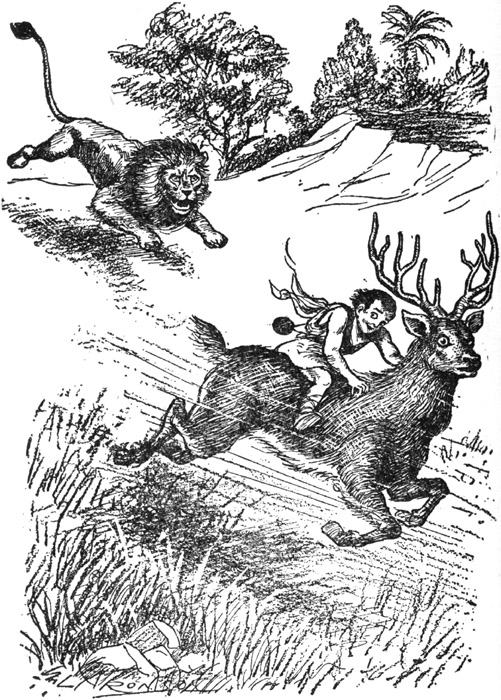 Behind him a fierce roar indicated that the lion was in pursuit