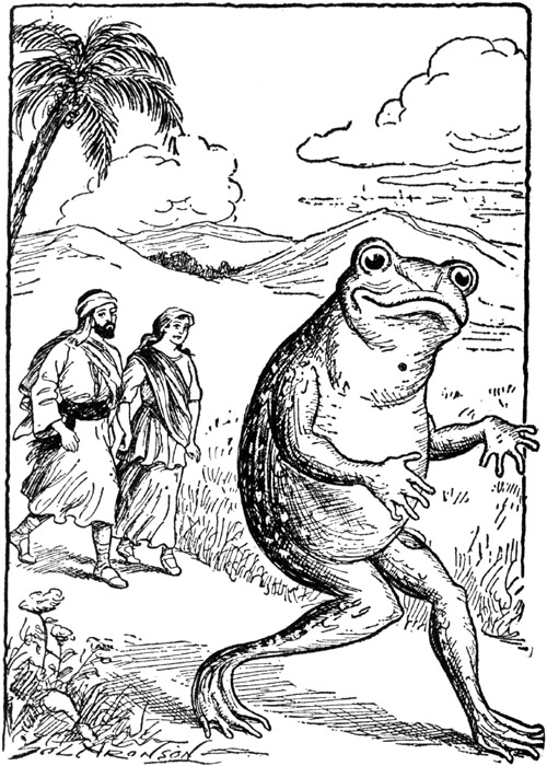 Hanina and his wife followed the giant frog