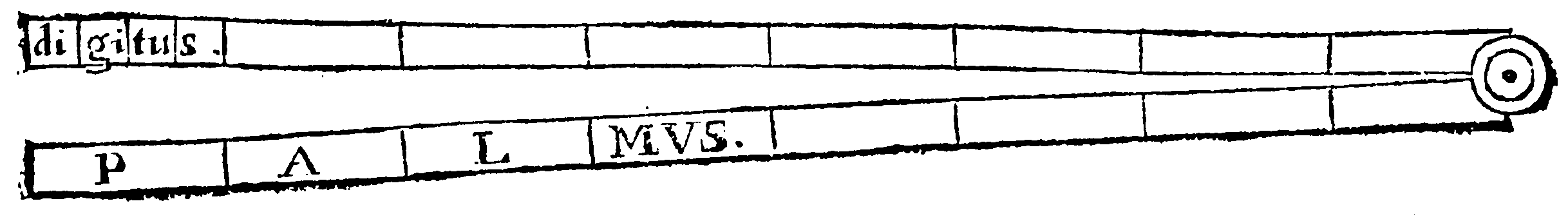 Scale marked Digitus and Palmus.