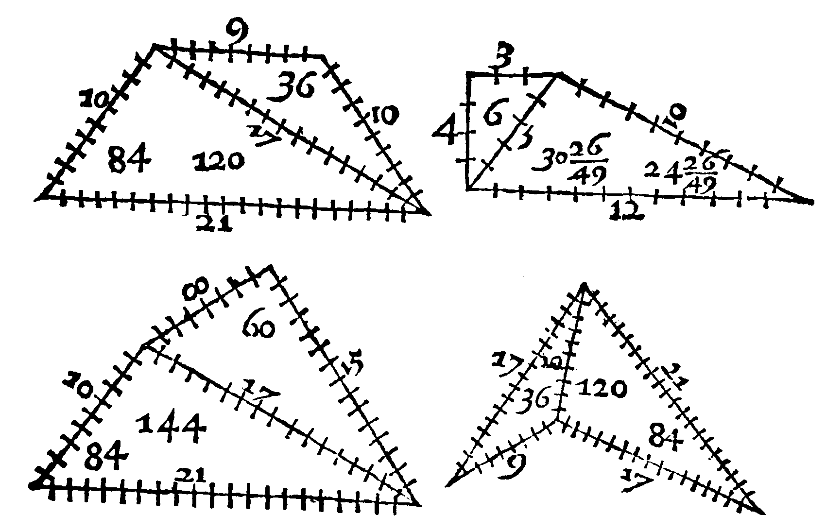 Trapezia.