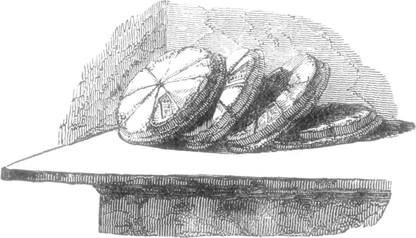 BREAD DISCOVERED IN POMPEII