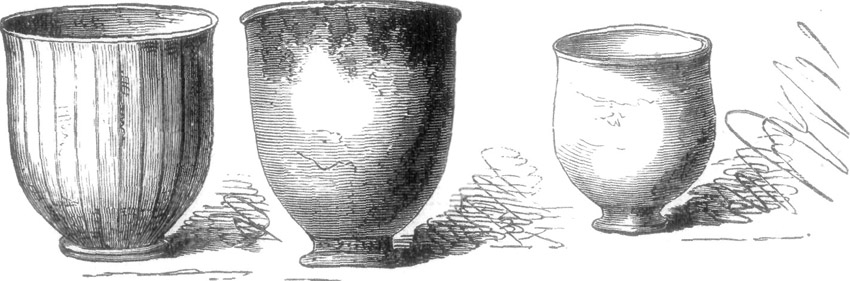 GOLDEN CUPS OF PRIAM.