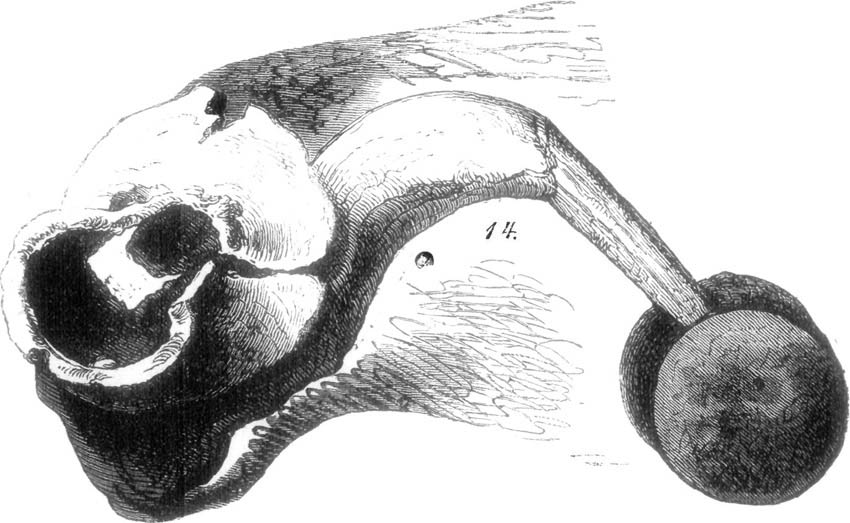 PART OF MACHINE OF PRIAM.