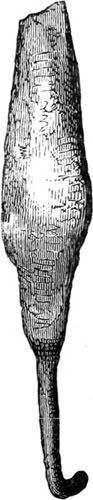 SHIELD OF THE PALACE OF PRIAM.
