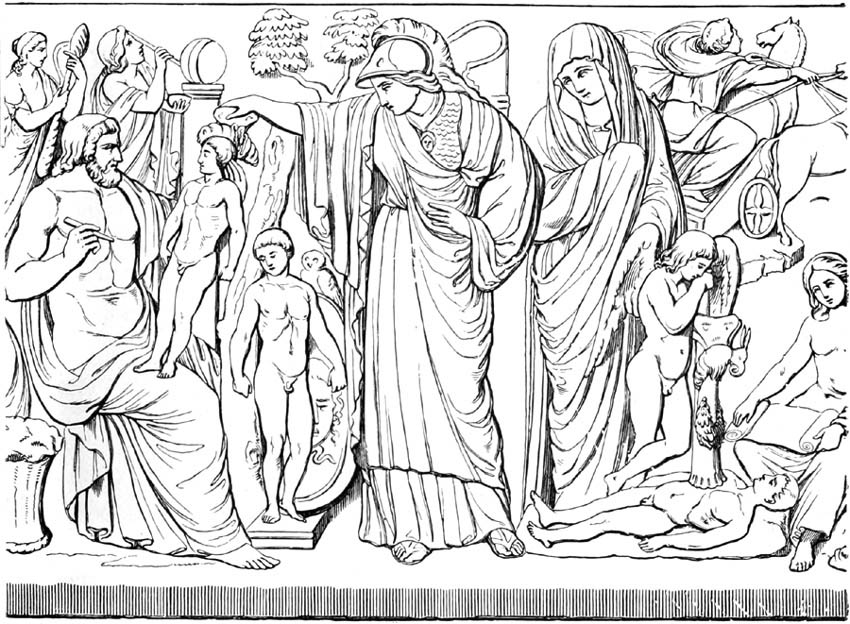 THE ORIGIN OF MAN.