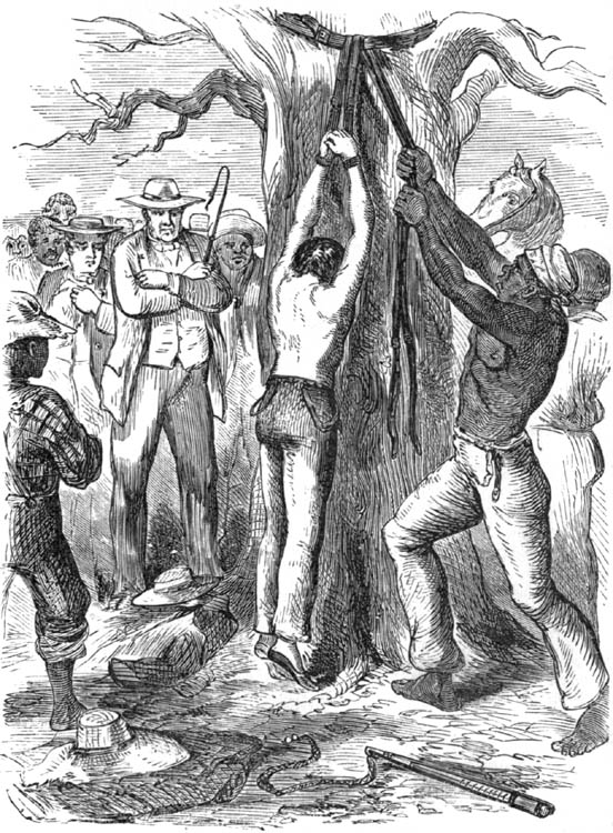 THE TRAGEDY AT THE DEAD OAK.