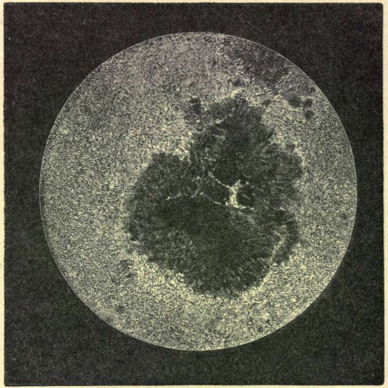 FIG. 6.—A Sun-spot magnified.