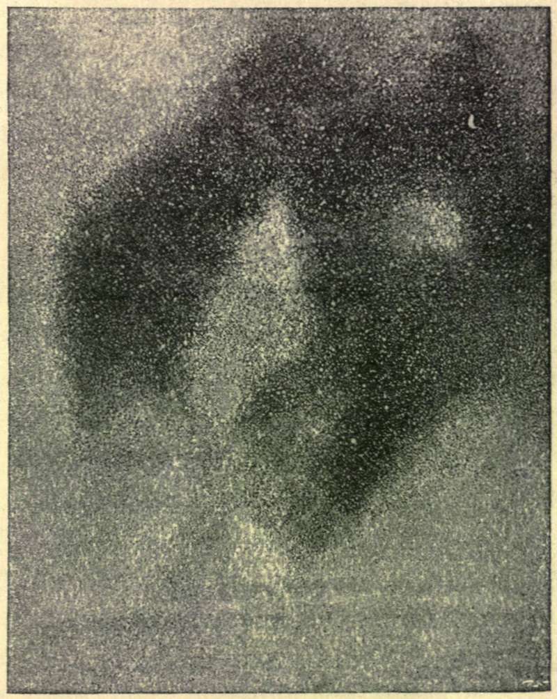 FIG. 8.—A Portion of the Milky Way.