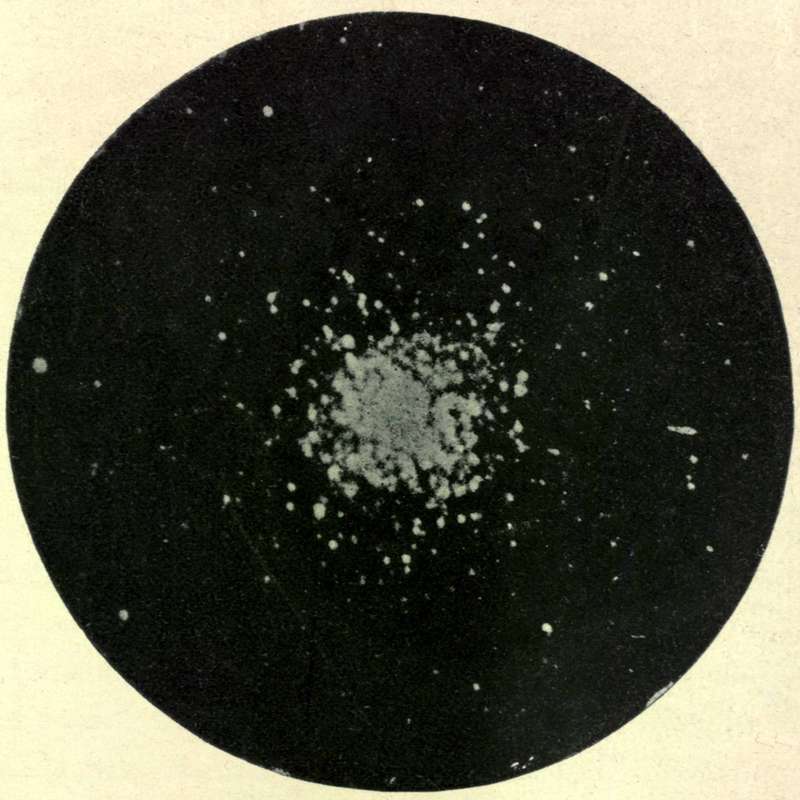 CLUSTER IN HERCULES