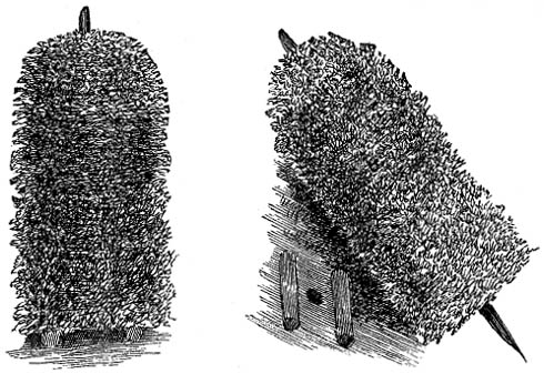 Figure 5 and 6
