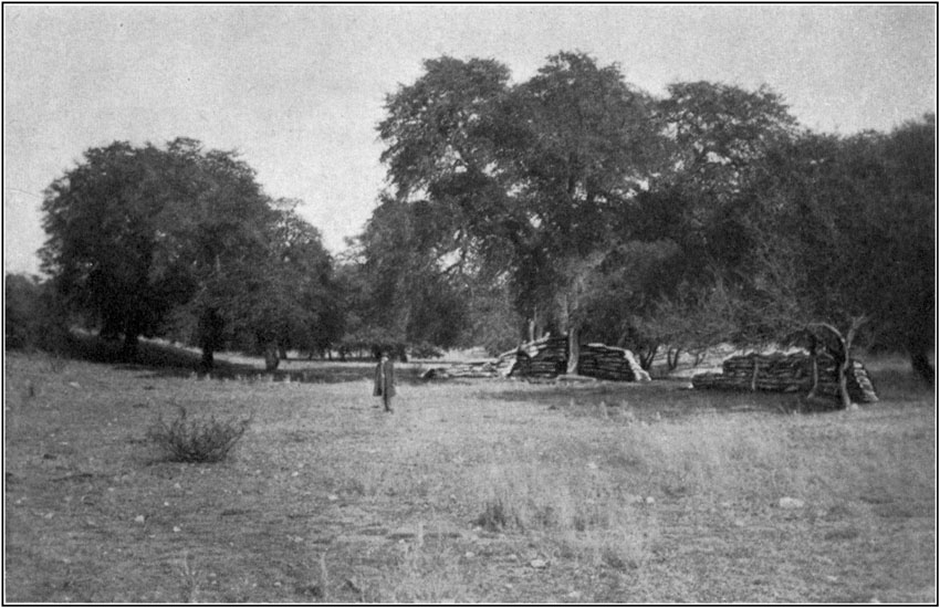 Ruins Of Old Fort Buchanan