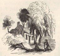Solitary cottage