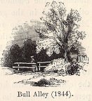 Bull Alley