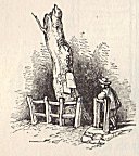 Stump
