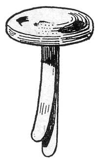 Fig. 14.