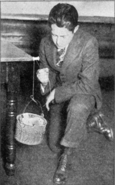 Fig. 32.