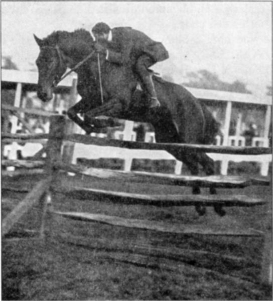 Fig. 38.