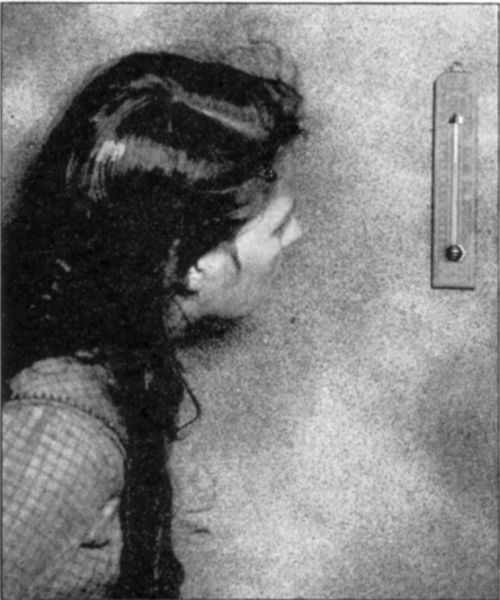 Fig. 41.