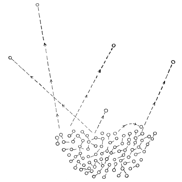 Fig. 49.