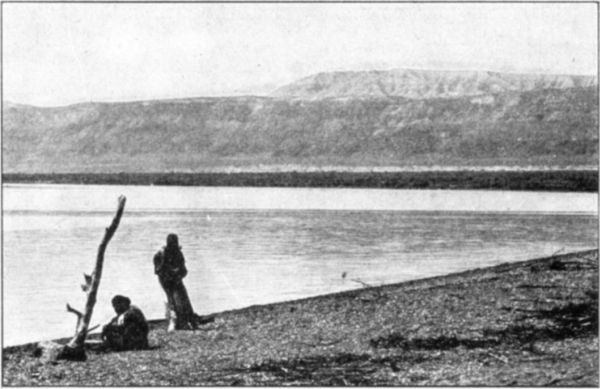 Fig. 50.
