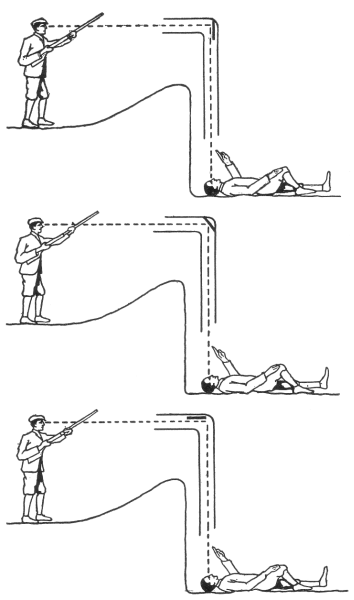 Fig. 64.
